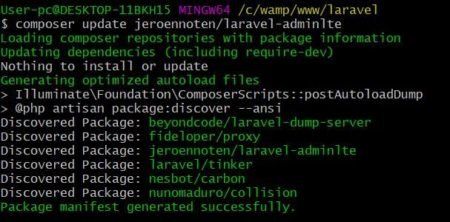 Integrate AdminLTE In Laravel Complete Guide | ScriptWriterPH