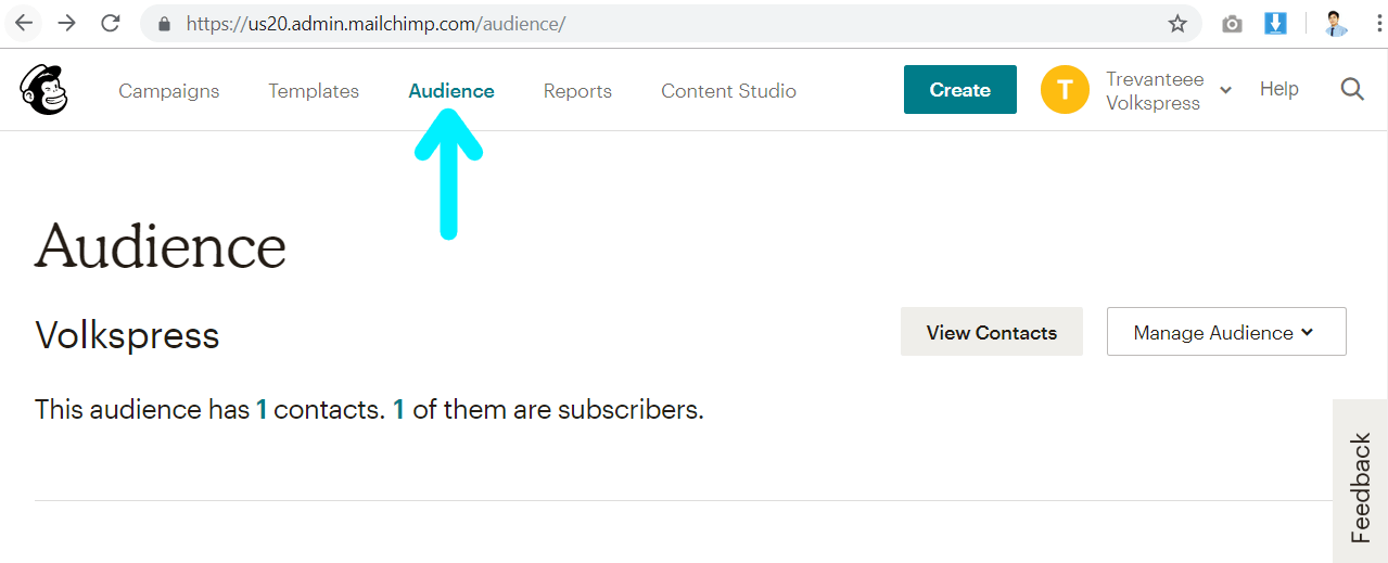 mailchimp - navigate to audience page