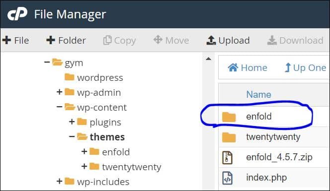 https://scriptwriterph.com/wp-content/uploads/2021/02/Upload-then-extract-or-unzip-Enfold-zip-to-your-project-folder-wp-content-themes-folder-1.jpg