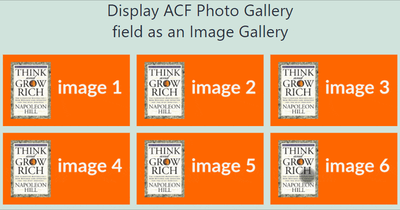 ACF Photo Gallery field display as image gallery from theme's template, with a shortcode