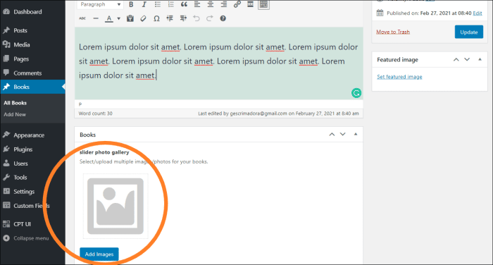 Slider photo gallery field successfully added to post custom posts page